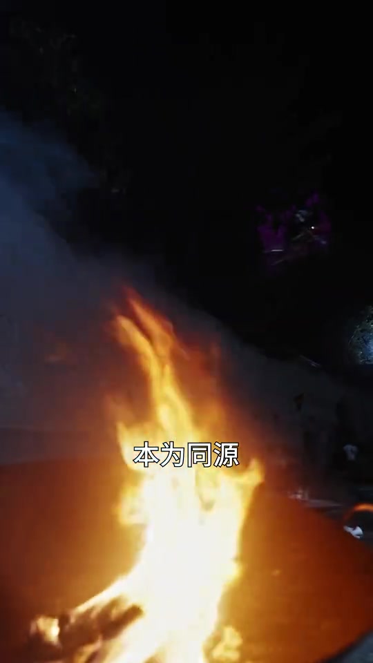 暗域天子