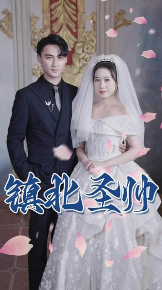镇北圣帅