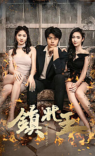 新镇北王