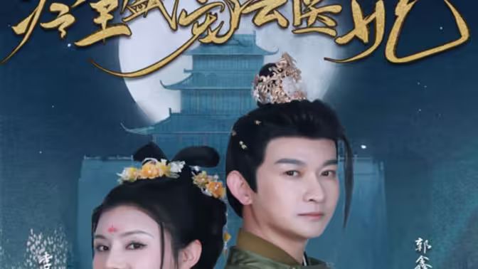 新版冷王盛宠法医妃