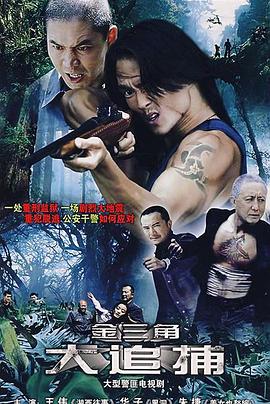 大追捕2008