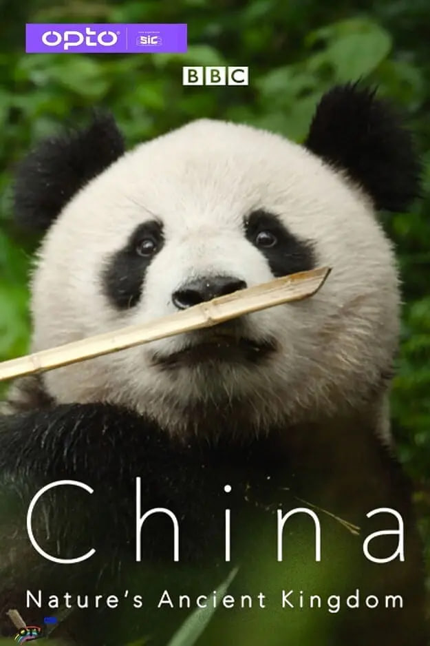 中国大自然的古老王国第一季