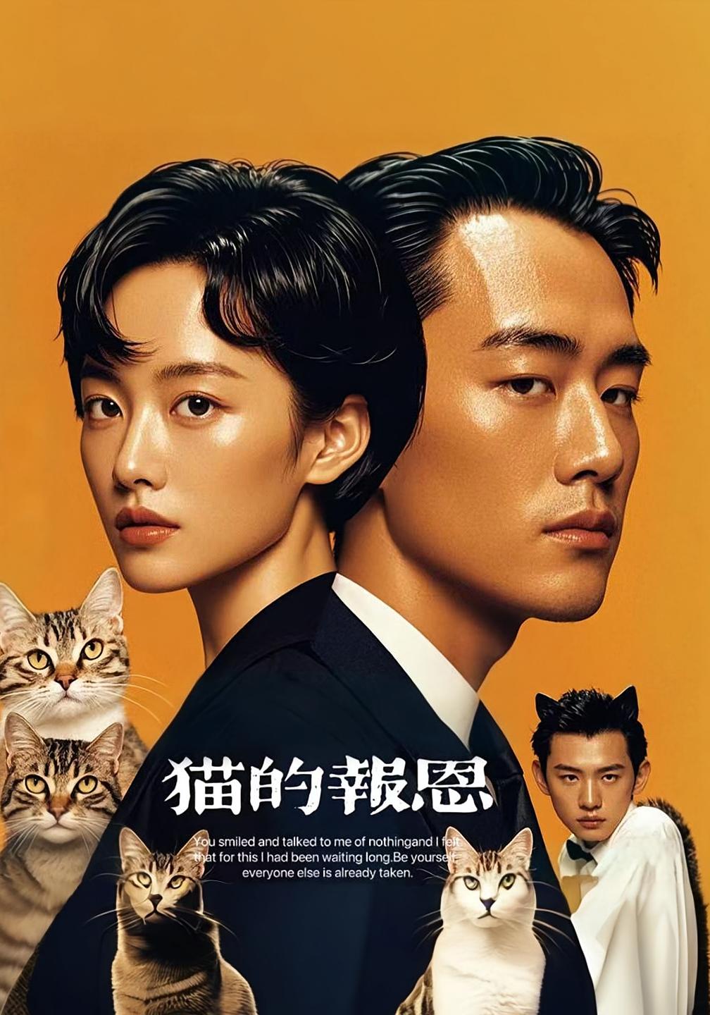 猫的报恩