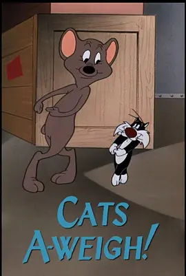 傻大猫出航