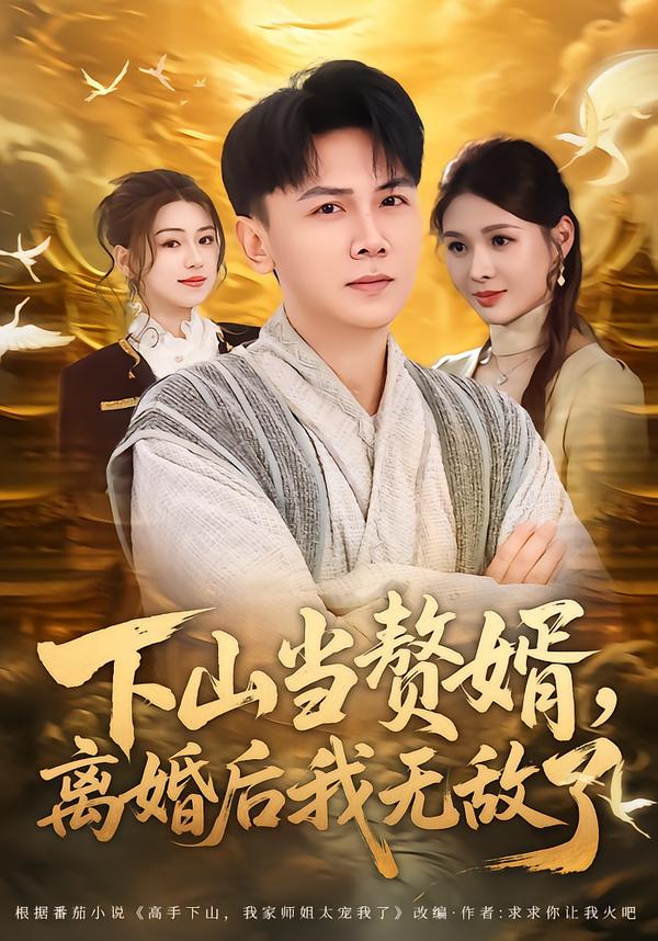 下山当赘婿离婚后我无敌了