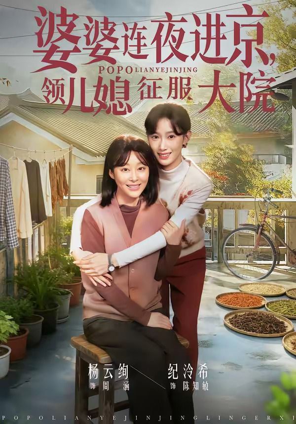 婆婆连夜进京领儿媳征服大院