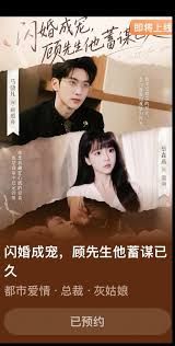 闪婚成宠顾先生他蓄谋已久